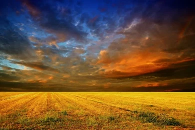 Download Wallpapers 1280x800 Field, Horizon, Clouds, Layers, Veil ...