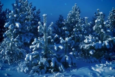 Christmas Wallpapers For Ipad Lovers Picture On VisualizeUs