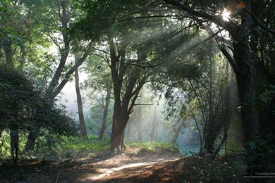 Satkosia1680x1050 Or Sunny Weather Wallpapers   (