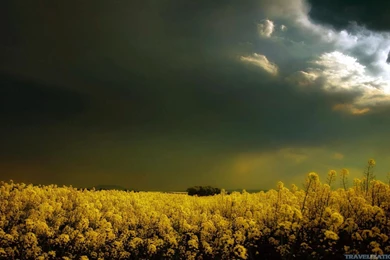 Amazing Dark Nature Wallpapers