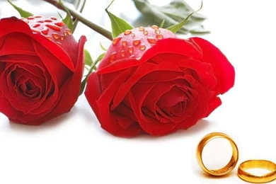 Happy valentine day wallpaper free download 1.jpg