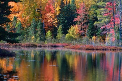 Cool Fall Pictures   Wallpapers HD Base