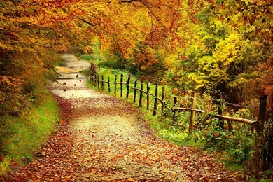 Gallery For   Autumn Scene Desktop Wallpapers