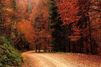 Wallpapers: Autumn , Fall, Nature, Nature Wallpapers, Popular,