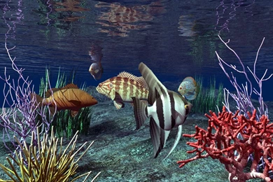 Animated Wallpapers Windows 7: Live Wallpapers