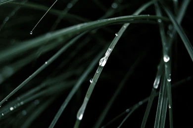 Theme Bin» Blog Archive » Gaia Dew HD Wallpapers