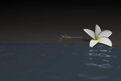 Wallpapers Desktop Themes   Jaidendesigns.com