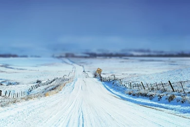 Dead End On The Snowy Road Wallpapers   Nature Wallpapers