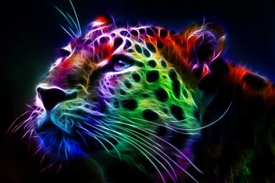 Windows 7 desktop background themes.jpg