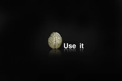 2501 Humor HD Wallpapers