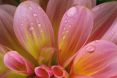 Win 7 Original Wallpapers Pack By Awaisagha On DeviantArt