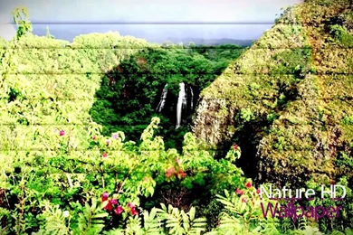 Wide Wallpapers   Nature. Free Download.   Video Dailymotion