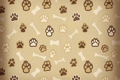 65022_paws and bones.jpg