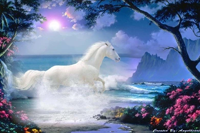 BEAUTIFUL WHITE HORSE WALLPAPER   (