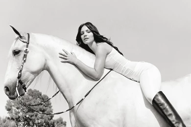 Horse Wallpapers   Katharine McPhee   White Horse Wallpapers   HD ...