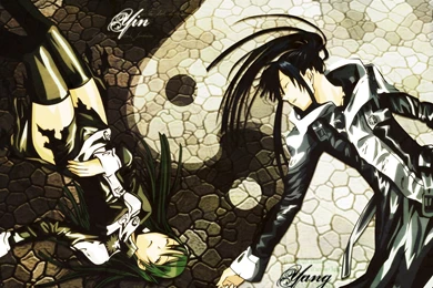 D.Gray man, Wallpapers