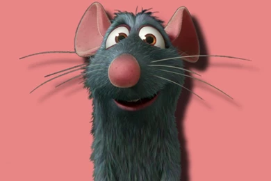 Browsing Wallpapers On DeviantArt