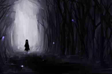 Alone In The Dark Forest Wallpapers   Digital Art Wallpapers