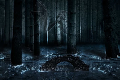 Gallery For   Dark Enchanted Forest Backgrounds Value