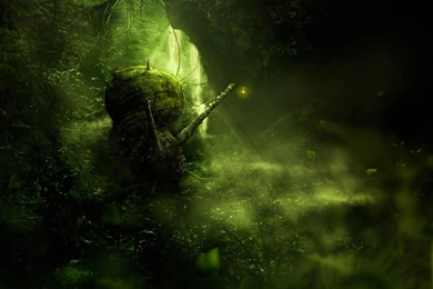 Dark Forest (id: 106129) – BUZZERG