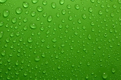 Green Wallpapers