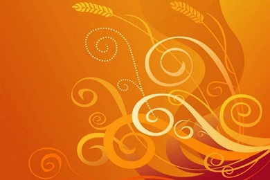 Orange Backgrounds Wallpapers 3243 1024x768 Px ~ WallpaperFort.com