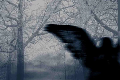 Gothic Backgrounds   Wallpapers Cave