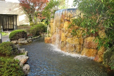 Free Moving Wallpapers Downloads   All Wallpapers New