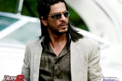WALLPAPERS WORLD : Shahrukh Khan