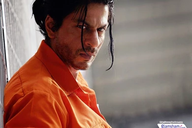 Shahrukh Khan High Resolution Image 29938   Glamsham.