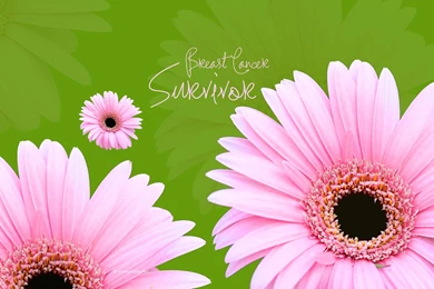 Breast Cancer Awareness Wallpapers By Kate.net