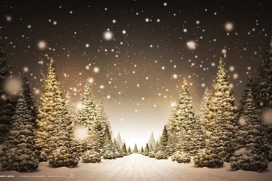 Best Christmas Wallpapers