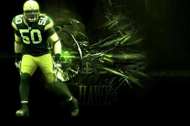 Green Bay Packers Wallpapers 4.jpg
