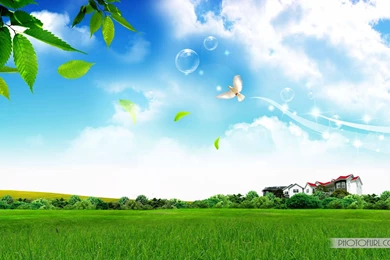 Lateset toshiba high quality wallpaper.jpg