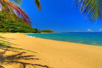 Beach Shade Hawaii Hd