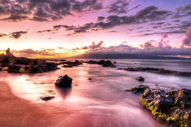 Hawaii Beach Wallpapers   (