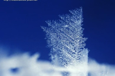 Glittering Wallpapers Wallpapers Cave