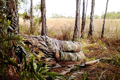 Turkey Hunting Wallpapers Deer, Cheap Wild Boar Hunts