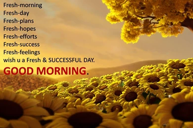Good morning nice quotes hd wallpapers
