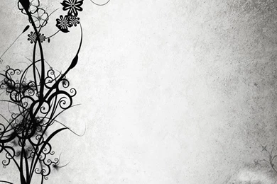 Flowers And Swirls Wallpapers   Vector Wallpapers