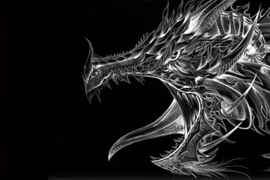 White Dragon Wallpapers   Wallpapers HD Base