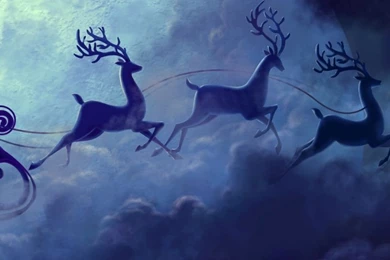 Santa In His Sleigh HD Desktop Wallpapers : High Definition ...