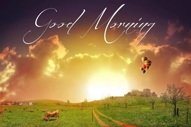 Good Morning Wallpapers HD Pictures