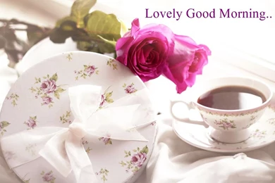 Lovely And Beautiful Good Morning HD Wallpapers Download Free