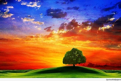 Glorious free download mobile wallpaper download mobile wallpaper wallpapers for pc android hd of love nature good morning funny for mobile  ...