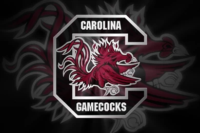Gamecocks Wallpapers   Wallpapers Cave