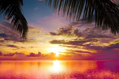 Dreamy Sunset Wallpapers