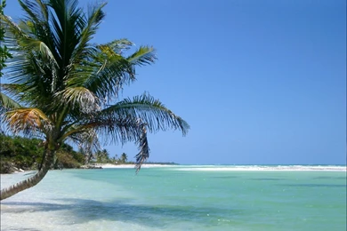 Hd Beach Pictures   Wallpapers High Definition