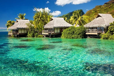 High Quality Images, Hd Desktop Images, Natural, Amazing Views ...