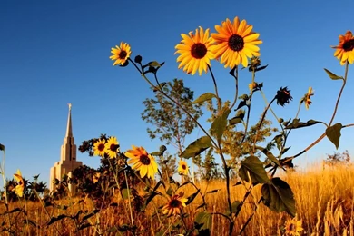 Salt Lake Temple By Montgomeryq On DeviantArt